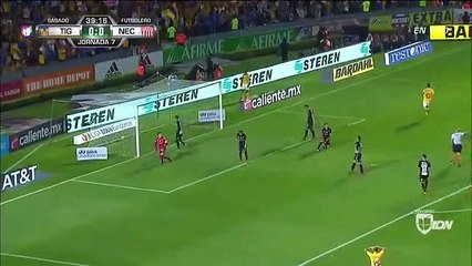 Tigres VS Necaxa  le but en talonnade dAndré-Pierre Gignac