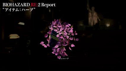 Resident Evil 2 Remake - Hierbas