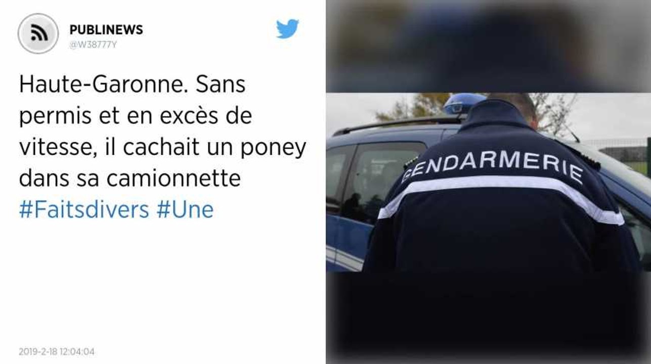 Haute-Garonne. Sans permis et en excès de vitesse, il cachait un poney dans sa camionnette