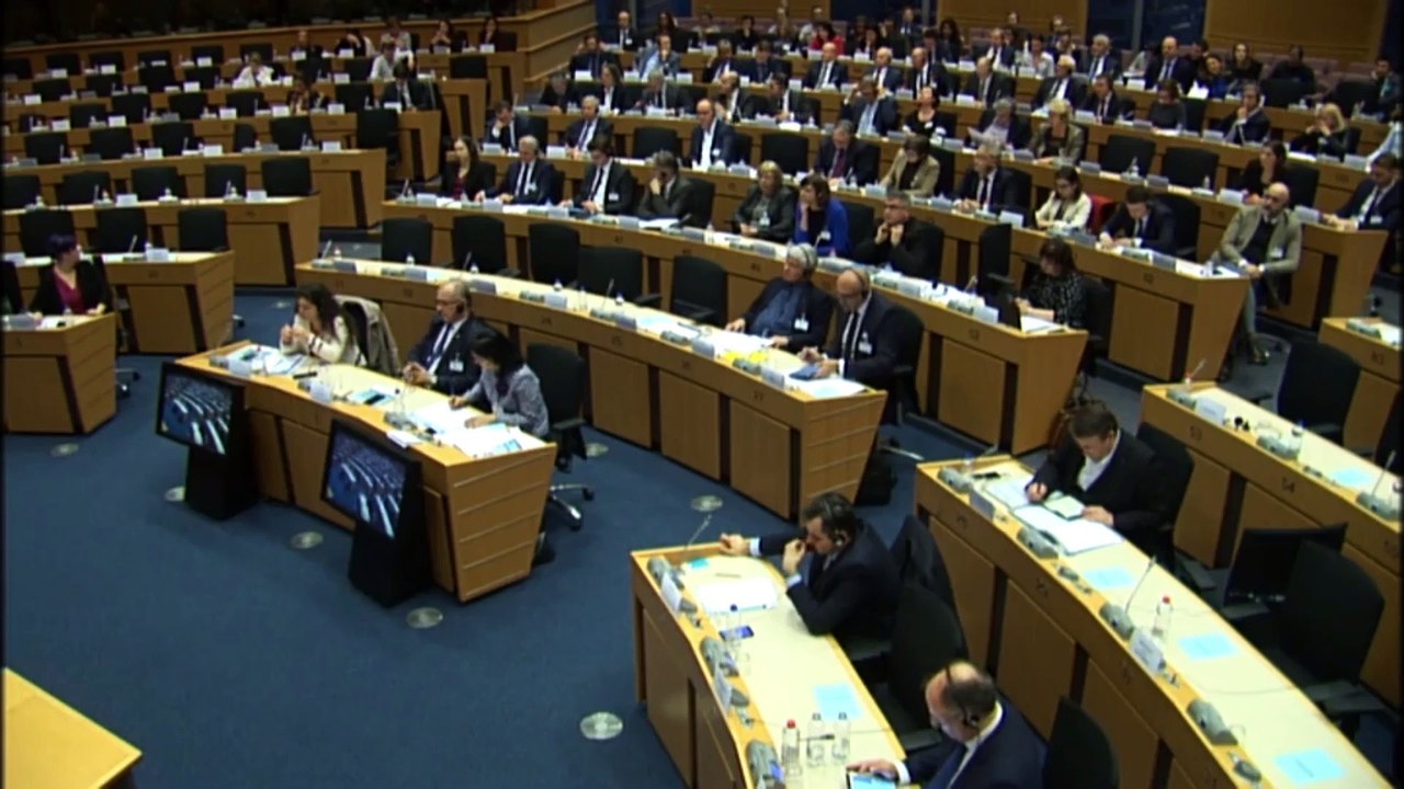 Intervento di Borghi Claudio all'European Parliamentary Week 2019 - Committee on Budgets