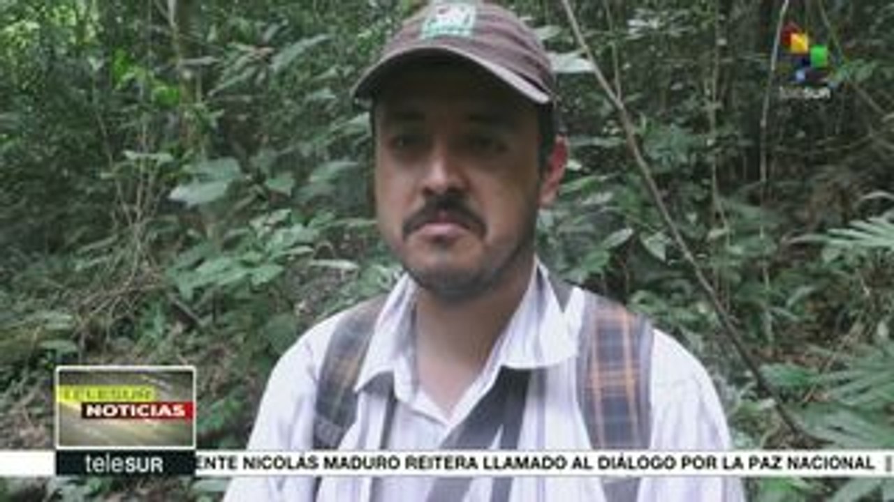 Realizan estudios para preservar reserva forestal guatemalteca