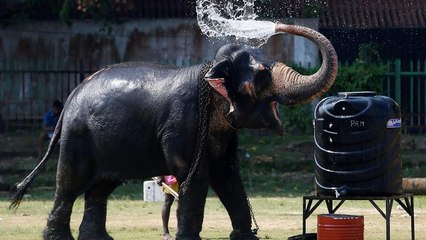 Arrêt sur images du 18 février 2018