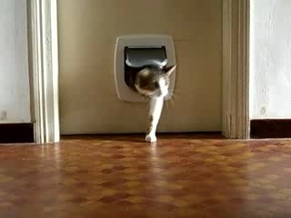 Tounchi a pris du bide... mais ça passe quand même !