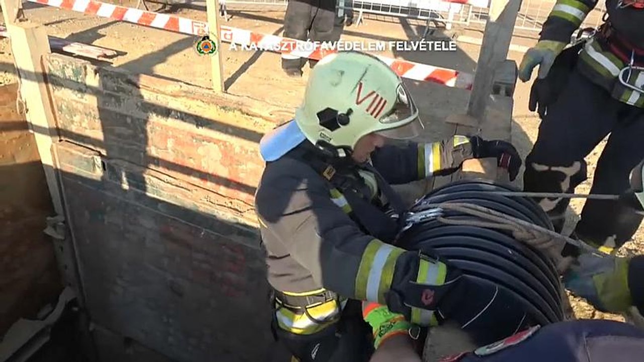 Budapest: Katzen aus 10 Meter tiefer Baugrube gerettet