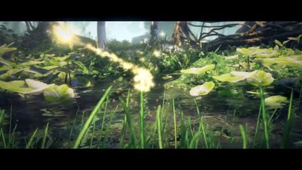 Black Desert Online - Hadas