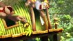 Donkey Kong Country: Tropical Freeze - Tráiler Switch