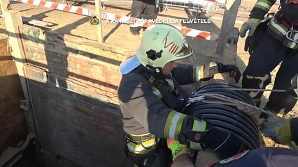 Budapeşte itfaiyesinin kedi kurtarma operasyonu