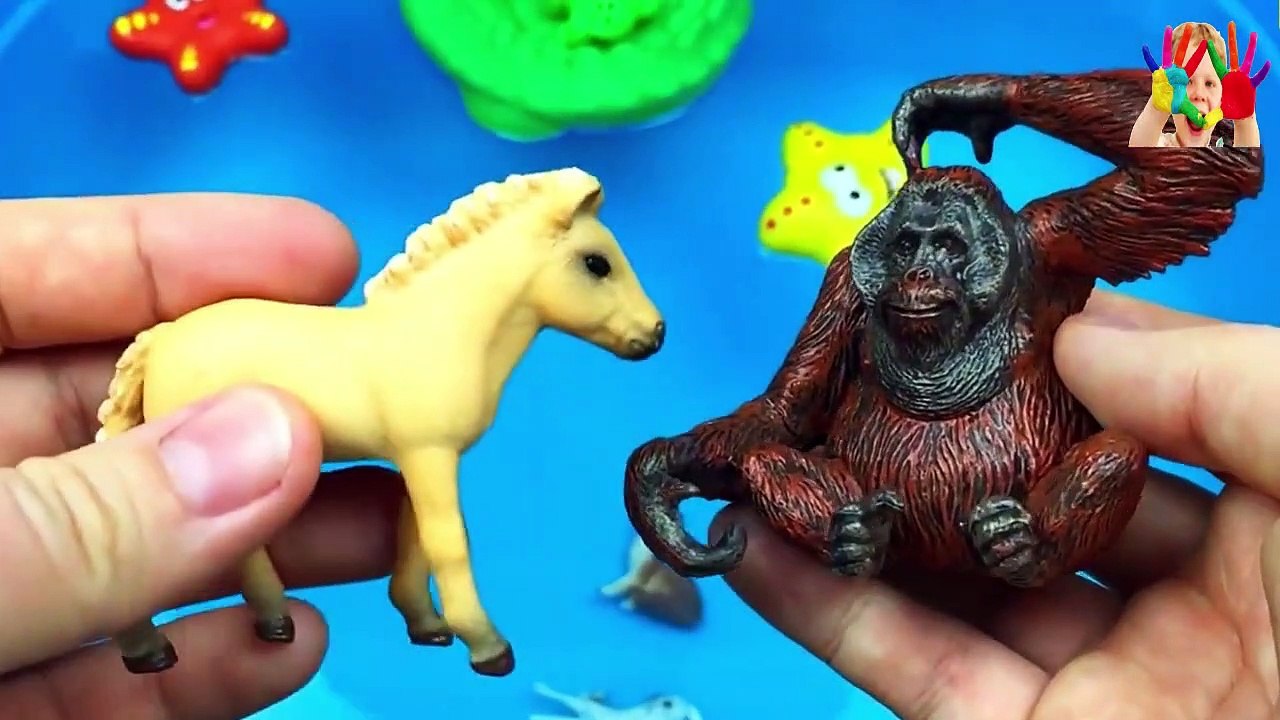 Learn Animals Names and Sounds Zoo Animals Toys Baby find Mom  Education Toys for Kids