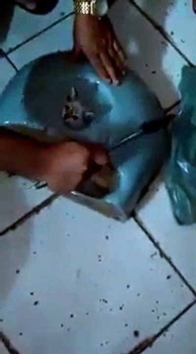 Il sauve un chaton qui a la tête coincée dans un lavabo