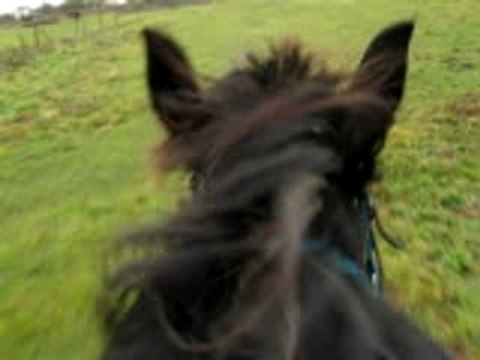 Soledad saut à cru janvier 2008