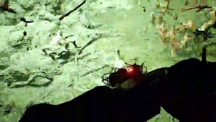 Resident Evil 7 - Not a Hero