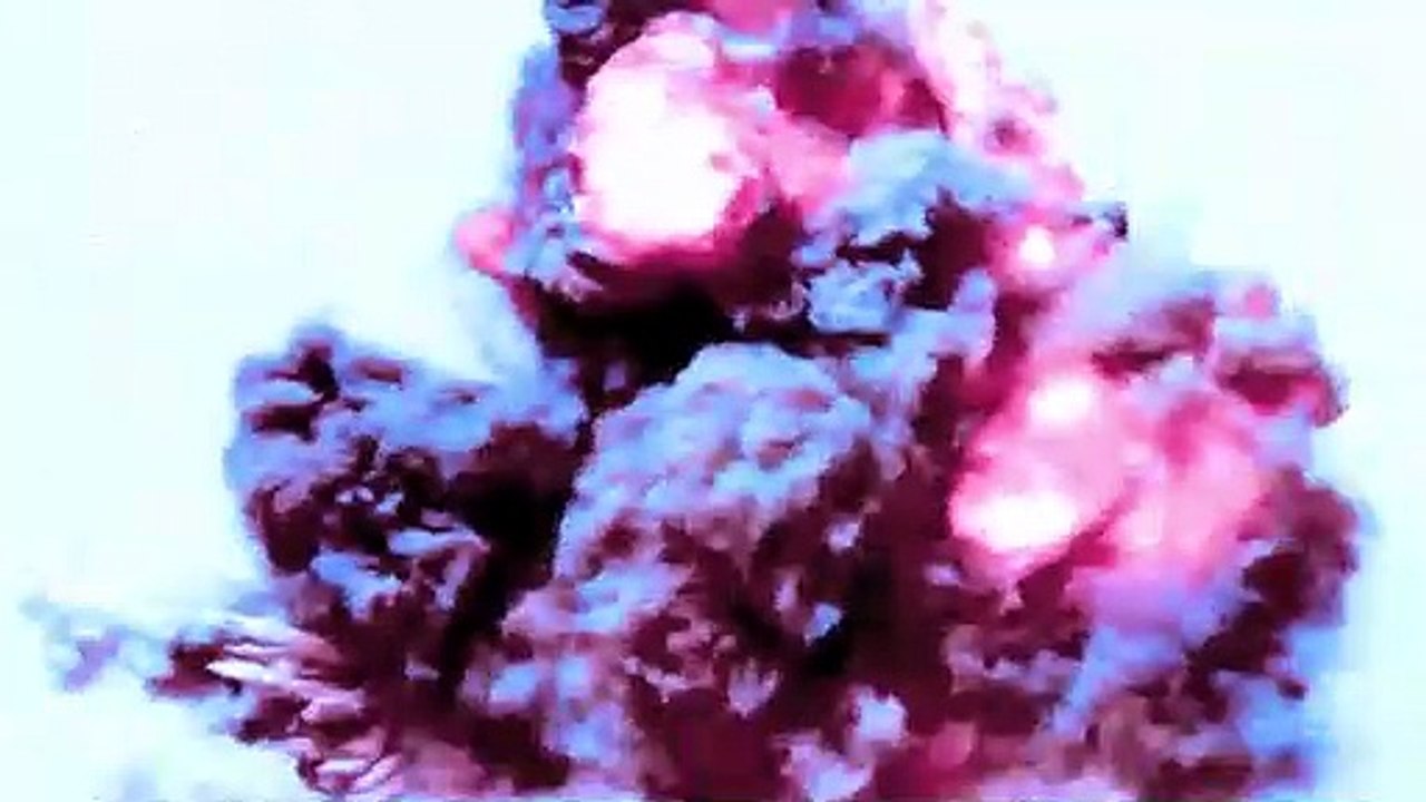 Dead Synchronicity: Tomorrow Comes Today - Nint...