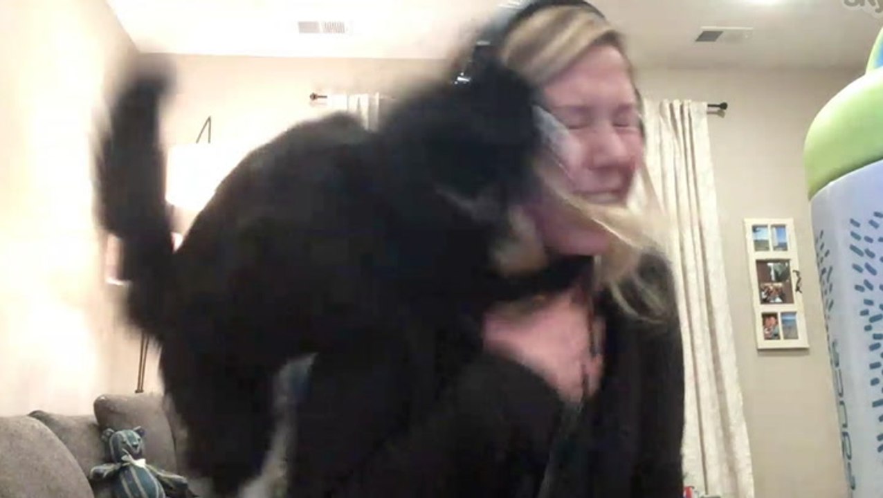 Helen The Cat HATES Singing — Her Human Joins RTM