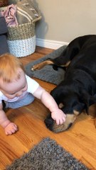 Dog and Little Boy are Best Buds