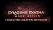 Dragon&apos;s Dogma: Dark Arisen - Personalización