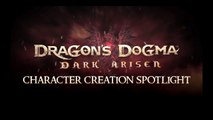 Dragon's Dogma: Dark Arisen - Personalización