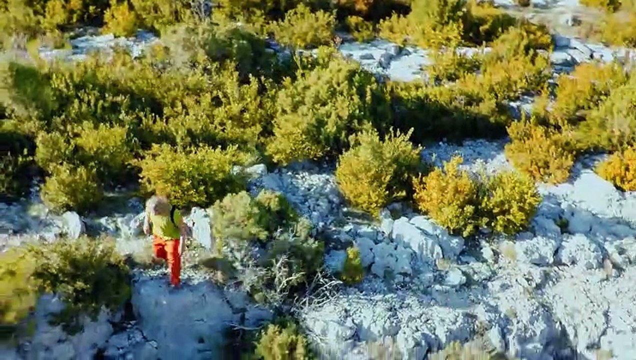 Nintendo Switch - Funambulismo