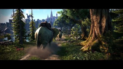 Dark and Light - Acceso anticipado