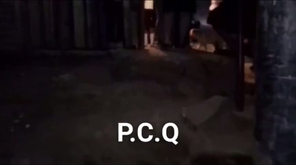 Ataque Ciudad Quetzal