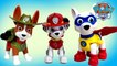 Paw Patrol Action Pack Pup Set Marshall Tracker Apollo Unboxing Demo Review Keith's Toy Box