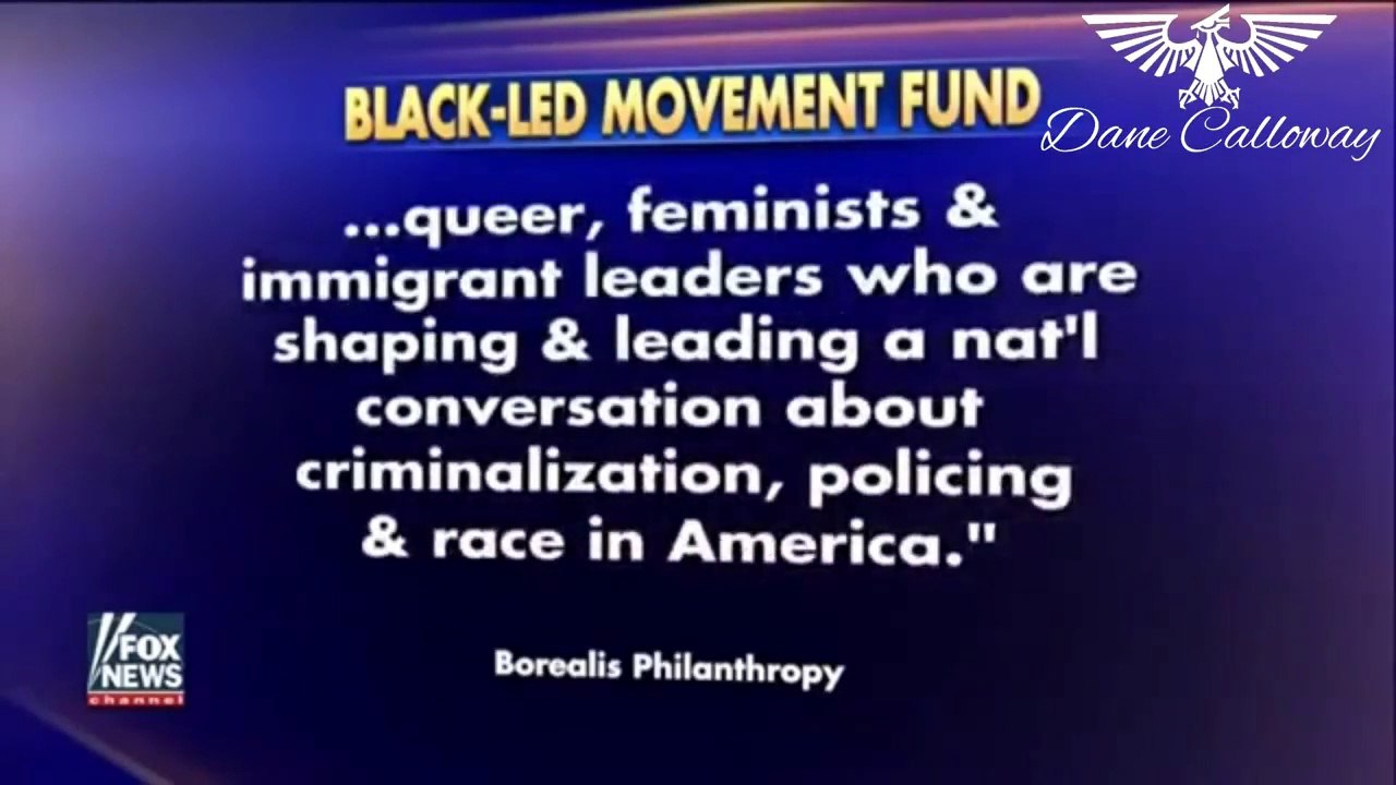 Untold Truth About Skin Color Motivated Organizations In America - The Chicanery Of Their Agendas (720p)