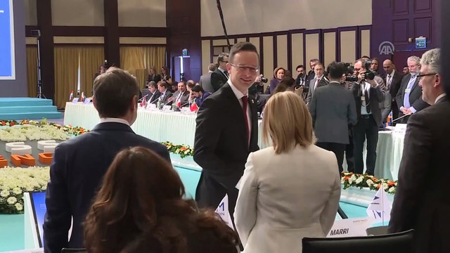 İçişleri Bakanı Soylu: 405 bin 521 Suriyeli çocuk doğdu - İSTANBUL