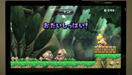 Nintendo Wii U - Funciones sociales
