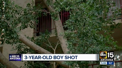 3-year-old boy shot in the Valley