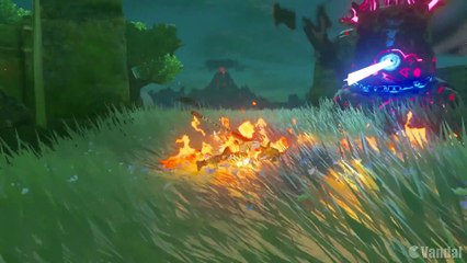 The Legend of Zelda: Breath of the Wild - Vídeoanálisis