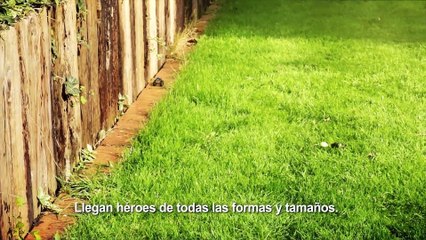 Micro Machines World Series - Tráiler de anuncio