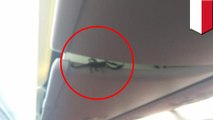 Penumpang panik! Kalajengking dalam pesawat Lion Air - TomoNews