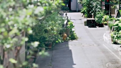 Las novedades de Navidad de Pokémon GO - Vandal TV