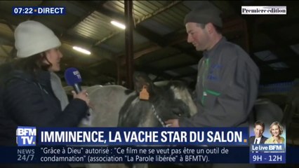 Rencontrez Imminence, la vache star du salon de l'agriculture