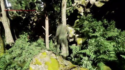 Outer Heaven - Test de animaciones