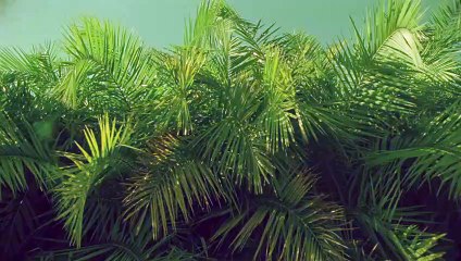 송파출장안마 {Ø1Øx2703x7745}【카톡VVV75】송파출장샵'예약'송파출장마사지 송파여대생출장 송파여고생출장 송파콜걸샵