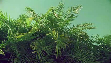 용산출장안마 {Ø1Øx2703x7745}【카톡VVV75】용산출장샵'예약'용산출장마사지 용산여대생출장 용산여고생출장 용산콜걸샵