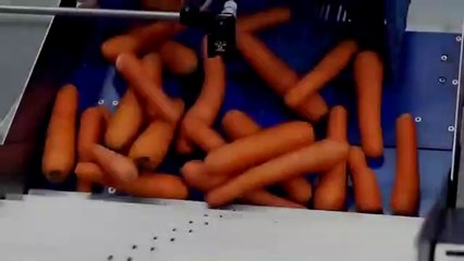 Awesome factory machine processing! Very high-end production technology,