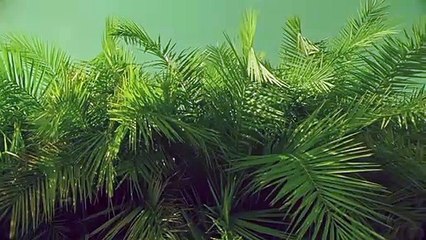 아산출장안마 {Ø1Øx2703x7745}【카톡VVV75】아산출장샵'예약'아산출장마사지 아산여대생출장 아산여고생출장 아산콜걸샵