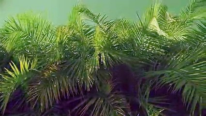 김제출장안마 {Ø1Øx2703x7745}【카톡VVV75】김제출장샵'예약'김제출장마사지 김제여대생출장 김제여고생출장 김제콜걸샵