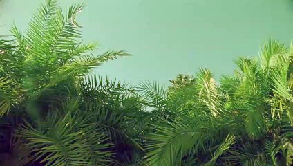 곡성출장안마 {Ø1Øx2703x7745}【카톡VVV75】곡성출장샵'예약'곡성출장마사지 곡성여대생출장 곡성여고생출장 곡성콜걸샵