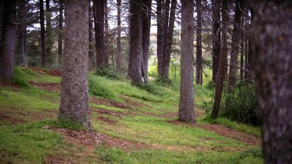 Pokemón GO: Las PokéParadas más curiosas - Vandal TV