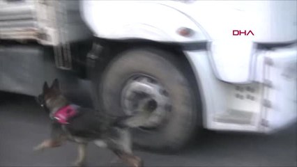 Diyarbakır Saman Balyalarının Arasında 176 Kilo Esrar Ele Geçirildi 4 Gözaltı