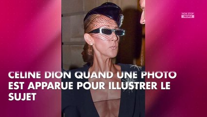 Céline Dion très amaigrie : les chroniqueurs de TPMP choqués réagissent