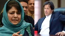 Pulwama हमला : Pakistan PM Imran Khan के साथ सुर से सुर मिलाती दिखीं Mehbooba Mufti | वनइंडिया हिंदी