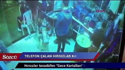 Kot ve telefon çalan hırsızlar kamerada