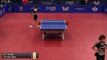 Fan Siqi vs Sato Hitomi | 2019 ITTF Challenge Plus Portugal Open Highlights ( R16 )