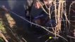 Puglia: cane legato "imbustato" e gettato nel canale. Vivo per miracolo