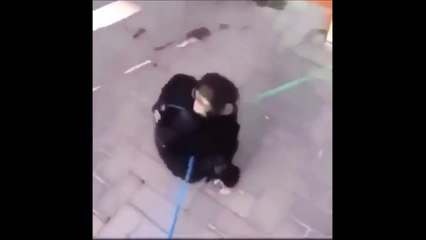 Quand 2 jeunes singes se retrouvent après avoir été séparés !