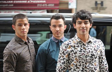 The Jonas Brothers planning reunion