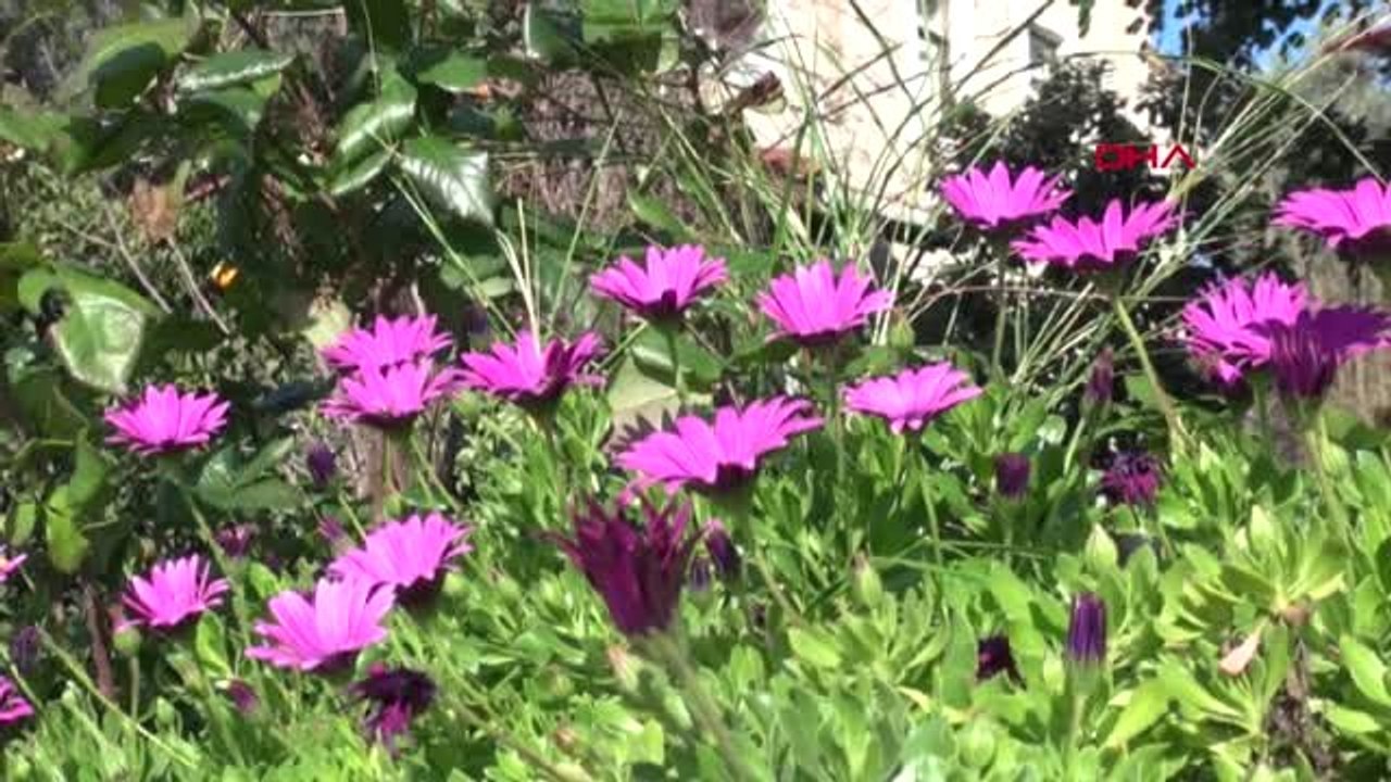 Antalya Cemre Havaya Düştü, Demre'de Doğa Canlandı